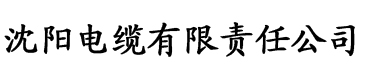 吃肉的长耳兔的作品电缆厂logo